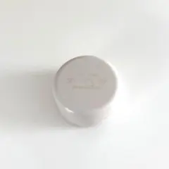 Item thumbnail for item 493ac226-071f-48fa-9666-03a49539e6a4