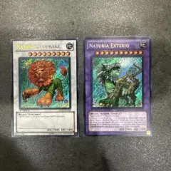 Item thumbnail for item 7c8817d5-2f65-4c97-8f83-62aded75f123