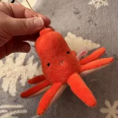 Item thumbnail for item 17bf715f-2ab7-49a5-8114-78bfa02294ef