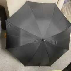 Item thumbnail for item 9627793c-0439-4262-adf1-4305a2790d57