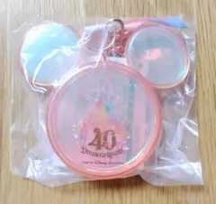 ディズニー 40周年 スーベニア スナックケース