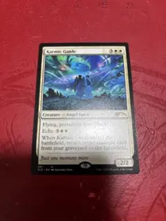 霊体の先達 Johannes Voss SLD 英語版