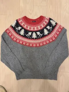 ✨美品 ✨ アメリカンイーグル AMERICAN EAGLE コットンセーターのサムネイル