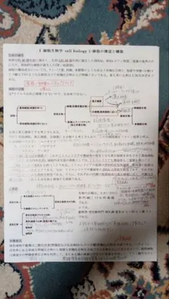 2026年最新】kals 要項集の人気アイテム - メルカリ