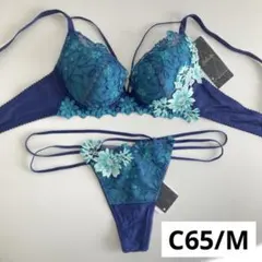 サルート　バハマ　C65/M　KO　67　ビバラインブラ　ソング　タンガ