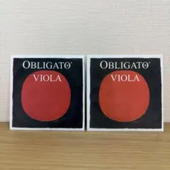 2025年最新】ビオラの人気アイテム - メルカリ