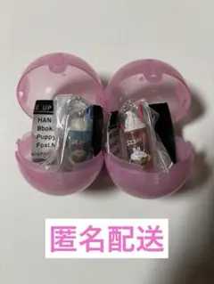 スキズ　skzoo レトログラスミニチュアチャーム　リービット　パピーム