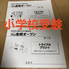 宇都宮大学附属小学校2025年合格セット ➕2024年、2025年模試 宇都宮大学附属小学校2025年合格セット ➕2024年、2025年模試