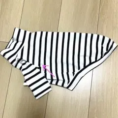 Item thumbnail for item 1f59a9bb-e0cc-4eb5-8937-26d45c689081