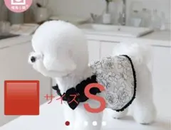 Item thumbnail for item 31299933-f07b-4d14-9917-2f0cd421fb2b