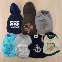 Item thumbnail for item 58cb7a5b-1bbc-4833-ab6e-5271b728a922