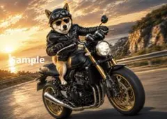 バイクに乗る柴犬 デジタルアート イラスト ポストカード