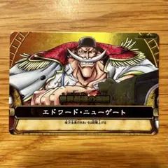 ワンピース ベリーマッチダブル 白ひげ エドワード・ニューゲート