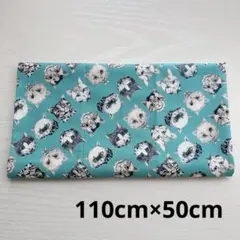Ringo ネコズ オックス カットクロス 110cm×50cm