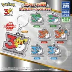 ポケモン30周年メタルチャームめじるしアクセサリー7種コンプリートセット