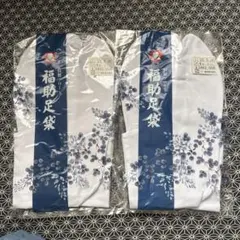 Item thumbnail for item 2cf54bb1-60a0-410d-ae49-72109bc84d89