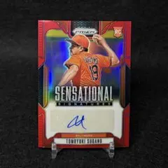 Item thumbnail for item 47dd7fcf-6e36-4a7f-8306-a52805e412f7