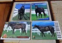 ブライアンズタイム 4枚セット トレーディングカード