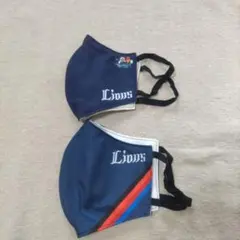 Item thumbnail for item 552f1fce-2615-46aa-9330-4d967678cdff