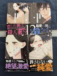 私の正しいお兄ちゃん　1〜4巻セット モリエサトシ