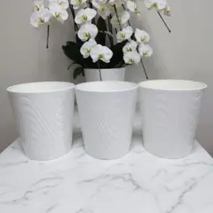 植木鉢　胡蝶蘭鉢　3個セット　プラスチック製