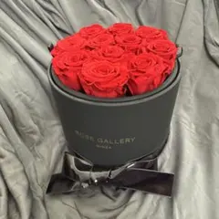 Item thumbnail for item 55f937a8-6bc9-47e8-8aa3-692d747116eb