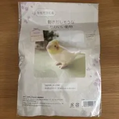 羊毛フェルト作成キット オカメインコ