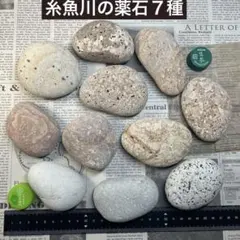 2026年最新】姫川 赤虎の人気アイテム - メルカリ