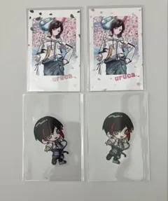 Crazy Raccoon CR Fes 2026 うるか