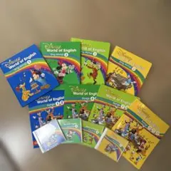 【未使用に近い】dwe シングアロング　最新版