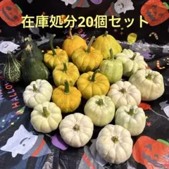ハロウィンカボチャ おもちゃかぼちゃ 20個セット56