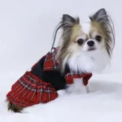 Item thumbnail for item c92f8e0d-0994-4a1f-967b-ddc077a2fe44