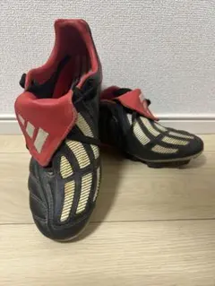 アディダス プレデターマニア HG adidas プレデターマニア TRX HG : Kohei's BLOG サッカー