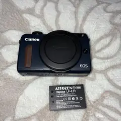 Item thumbnail for item 7bddbb19-e1a5-4a69-b9b8-080f5808236c