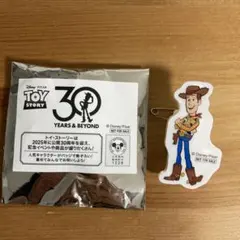 ウッディ　アクリルバッチ　非売品