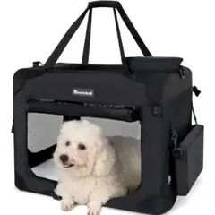 Item thumbnail for item 99bce984-d0e2-4b30-a312-43b74ba2aa7c