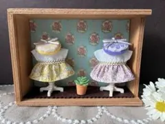 ミニチュアドール服BOX .。.:*ディスプレイ　21