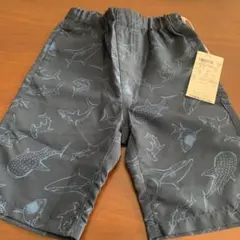 Item thumbnail for item 64a8a318-e858-409c-99be-ef5be8bbe9da