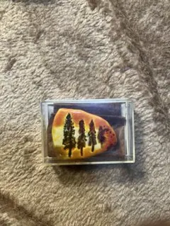 Item thumbnail for item a912d735-69d5-42f0-8174-4329859c7dc9