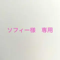 ソフィー様専用【美品】elizabeth bower ピアス JUNE DUET