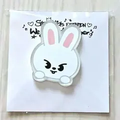 Stray Kidsアクリルステッカー(リービット)