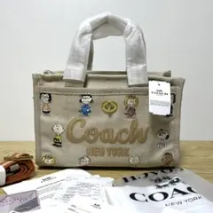 極美品】 コーチ ボストンバッグ 2way パッチワーク マルチカラー y2k