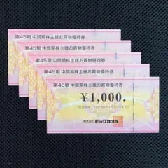 ビックカメラ 株主優待券 5,000円分
