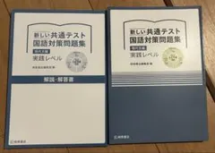新しい共通テスト 国語対策問題集 現代文編　実践レベル