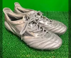 2026年最新】モレリアネオ3シルバーの人気アイテム - メルカリ