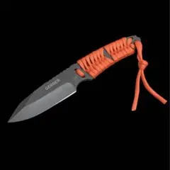 Item thumbnail for item 770be2c8-ac7f-466d-a9fe-5ce5b3a89563