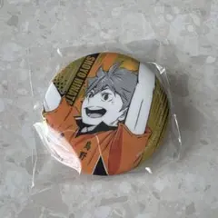 新品】 ハイキュー 極楽湯 コラボ お風呂ver. 缶バッジ 日向 日向翔陽