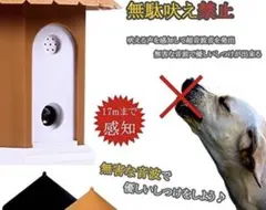 Item thumbnail for item e2d6dc72-6f84-49b3-8223-1e321ab038eb