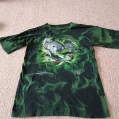 Item thumbnail for item c4defe47-ed9b-44a2-9e6e-980e374bf396