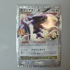 ガブリアスC[チャンピオン] プロモカードパック 25th ANNIVERSAのサムネイル